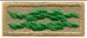 Scouter's Training Award